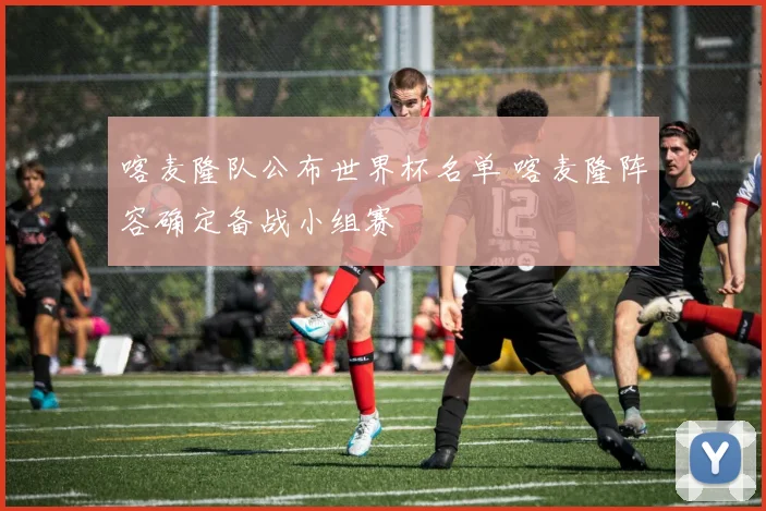 喀麦隆队公布世界杯名单 喀麦隆阵容确定备战小组赛