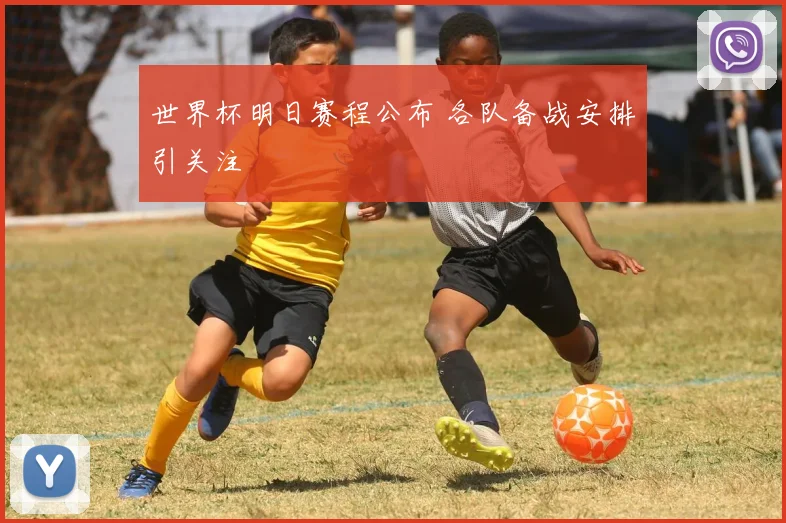 世界杯明日赛程公布 各队备战安排引关注