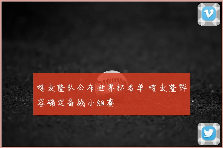 喀麦隆队公布世界杯名单 喀麦隆阵容确定备战小组赛