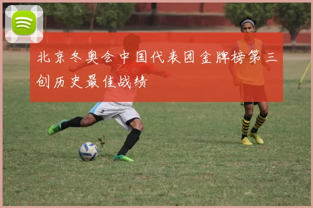 北京冬奥会中国代表团金牌榜第三创历史最佳战绩
