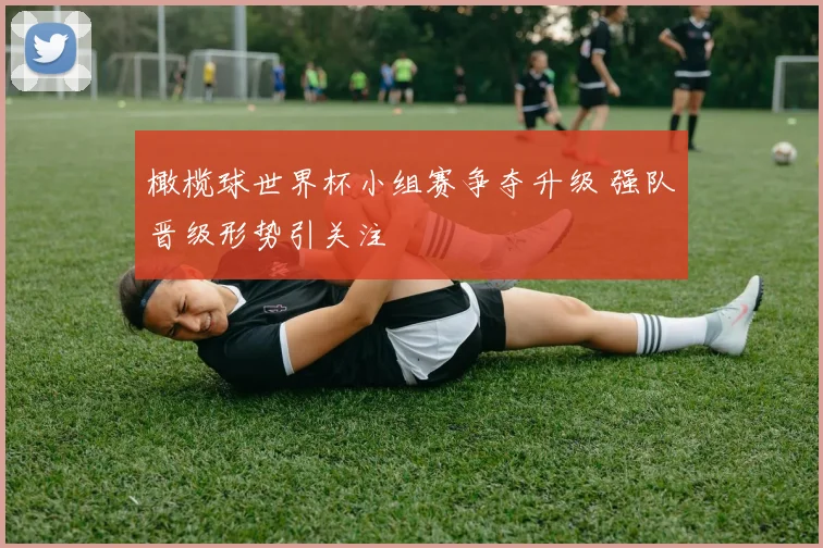 橄榄球世界杯小组赛争夺升级 强队晋级形势引关注