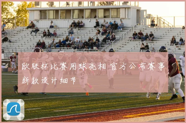 欧联杯比赛用球亮相 官方公布赛事新款设计细节