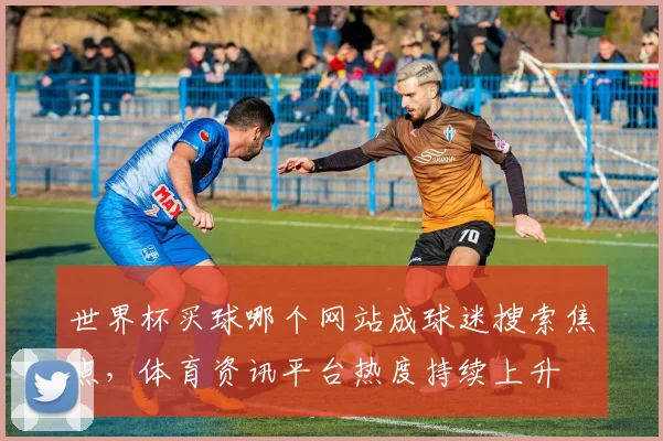 世界杯买球哪个网站成球迷搜索焦点，体育资讯平台热度持续上升
